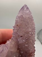 Amethyst Spirit Cactus Cluster, South Africa #3