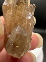 Natural Kundalini Citrine Lightbrary Crystal #14