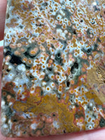 8th Vein Ocean Jasper Slab #24