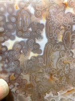 8th Vein Ocean Jasper Slab #66