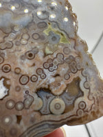 8th Vein Ocean Jasper Slab #47