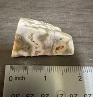 8th Vein Ocean Jasper Polished Free Form #31