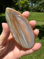 Agate Slice #19