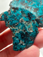 Chrysocolla, Shattuckite, Sonora, Mexico