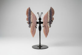 Fluorite Butterfly Wings & Stand #3