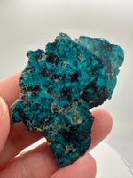 Chrysocolla, Shattuckite, Sonora, Mexico