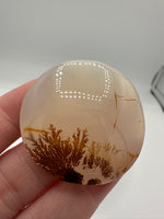Designer Dendritic Agate Cabochon #2
