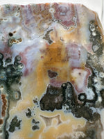 8th Vein Ocean Jasper Slab #42