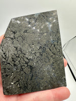 Free Form Pyrite Flowers Symbiosis Mixed Agate Slab #3