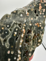 8th Vein Ocean Jasper Slab #35