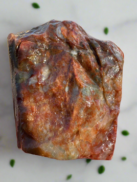 Savannah River Agate Specimen 1h