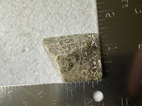Ocean Jasper Free-form #8