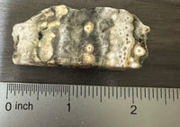 8th Vein Ocean Jasper Polished Free Form #18