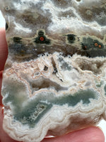 8th Vein Ocean Jasper Slab #62