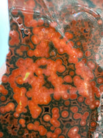 8th Vein Ocean Jasper Slab #7