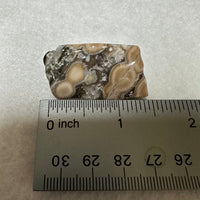 6th Vein Ocean Jasper Polished Freeform #46