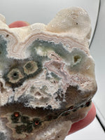 One of a Kind Bunny Shaped 8th Vein Ocean Jasper Slab #2