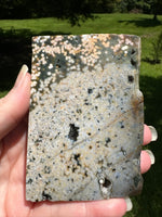 8th Vein Ocean Jasper Slab #96
