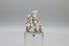 8th Vein Ocean Jasper Polished Free Form #31