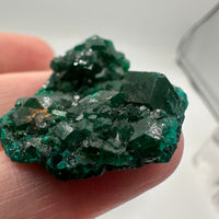 Green Dioptase from Reneville, DR Congo Specimen #2