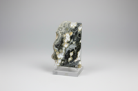 8th Vein Ocean Jasper Polished Free Form #21