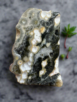 8th Vein Ocean Jasper Polished Free Form #21
