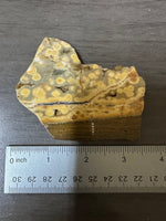8th Vein Ocean Jasper Slab #79