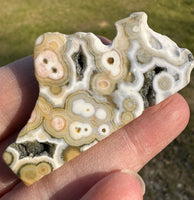 8th Vein Ocean Jasper Polished Free Form #19
