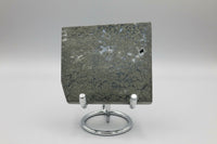Free Form Pyrite Flowers Symbiosis Mixed Agate Slab #1