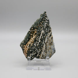 8th Vein Ocean Jasper Slab #83