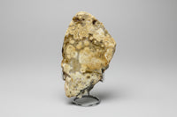 8th Vein Ocean Jasper Slab #102