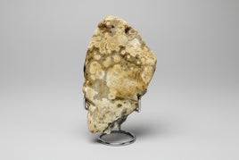 8th Vein Ocean Jasper Slab #102