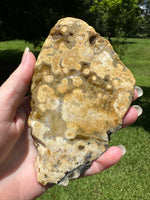 8th Vein Ocean Jasper Slab #102
