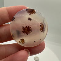 Scenic Dendritic Agate Cabochon #10