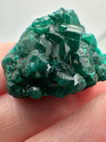 Green Dioptase from Republic of Congo Specimen #3