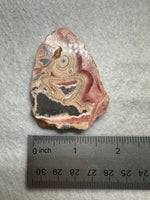 Rhodochrosite Slab #9 – Pink Banded Bullseye Orb – Polished Collector Specimen