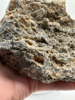 Quartz, Elestial Garden, Lodolite, Jacare, Brazil
