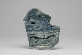 8th Vein Ocean Jasper Slab #61