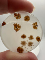 Scenic Dendritic Agate Cabochon #8