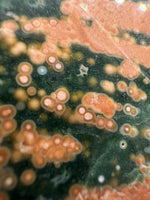 8th Vein Ocean Jasper Slab #44