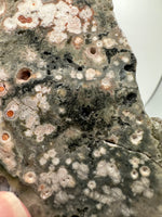 8th Vein Ocean Jasper Slab #21
