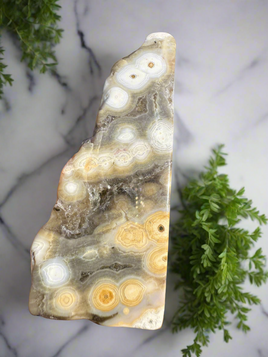 8th Vein Ocean Jasper Polished Free Form #13