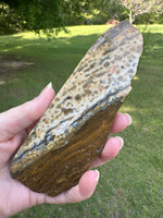 8th Vein Ocean Jasper Slab #15