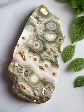 8th Vein Ocean Jasper Polished Free Form #11