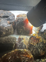 Madagascar Raw Amber One Pound Bag #1