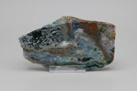 8th Vein Ocean Jasper Slab #51