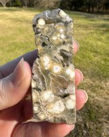 8th Vein Ocean Jasper Polished Free Form #16