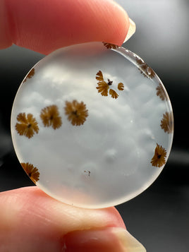 Scenic Dendritic Agate Cabochon #1