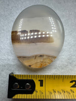 Designer Dendritic Agate Cabochon #4