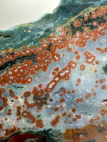 8th Vein Ocean Jasper Slab #4